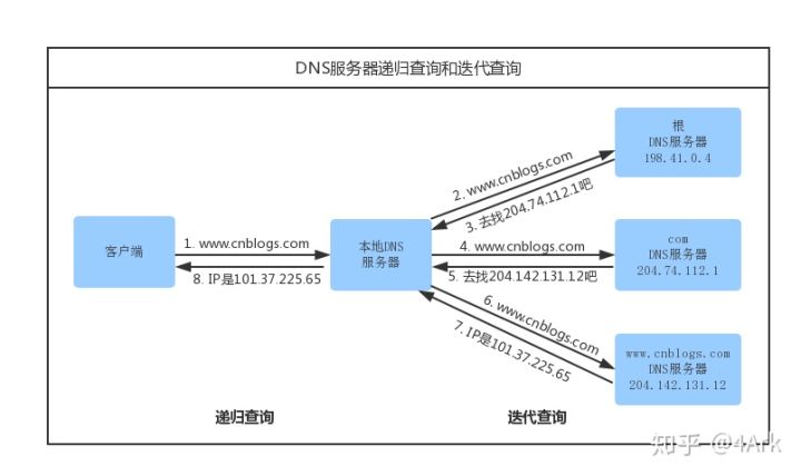 dns查询